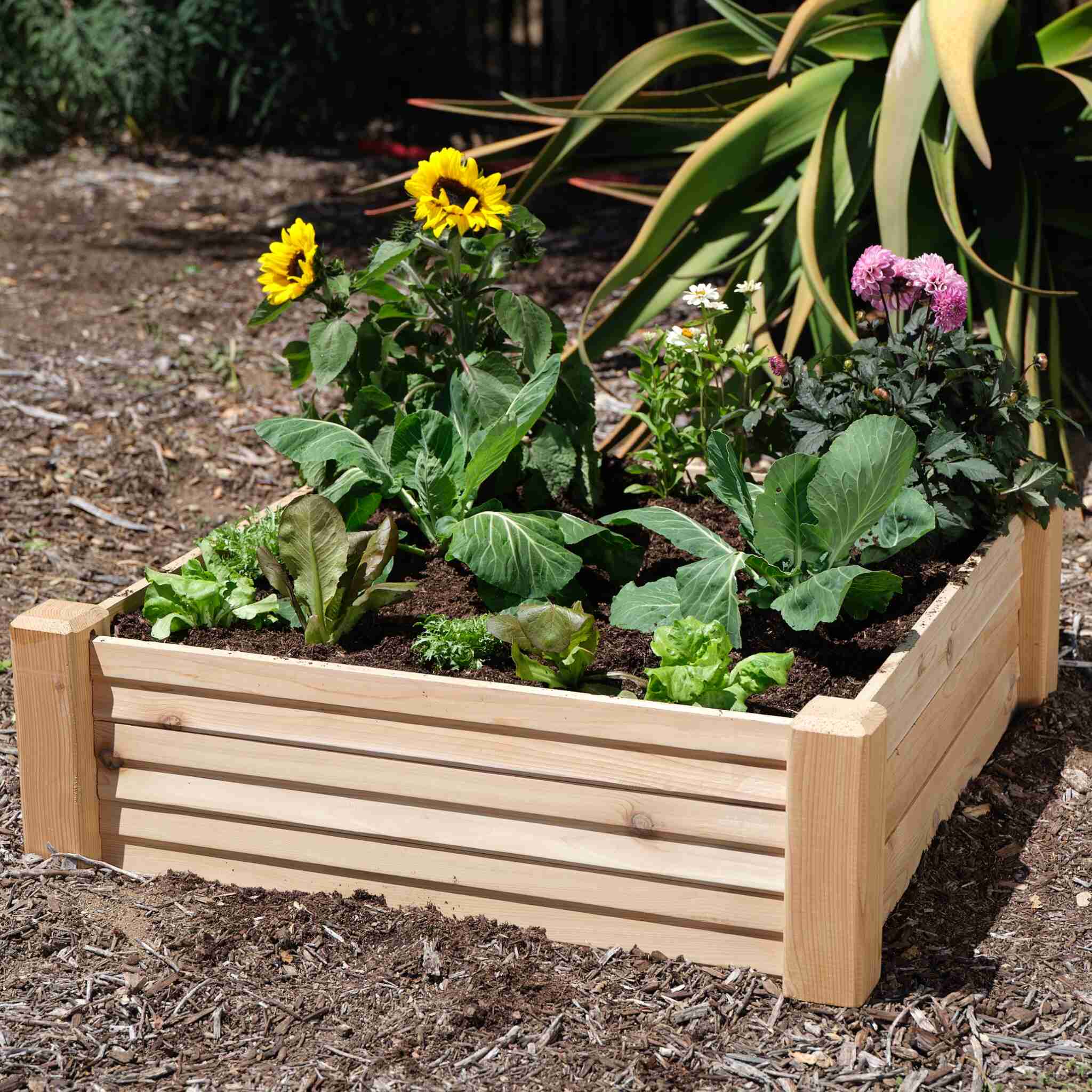 3-Minute Raised Bed - Image 4