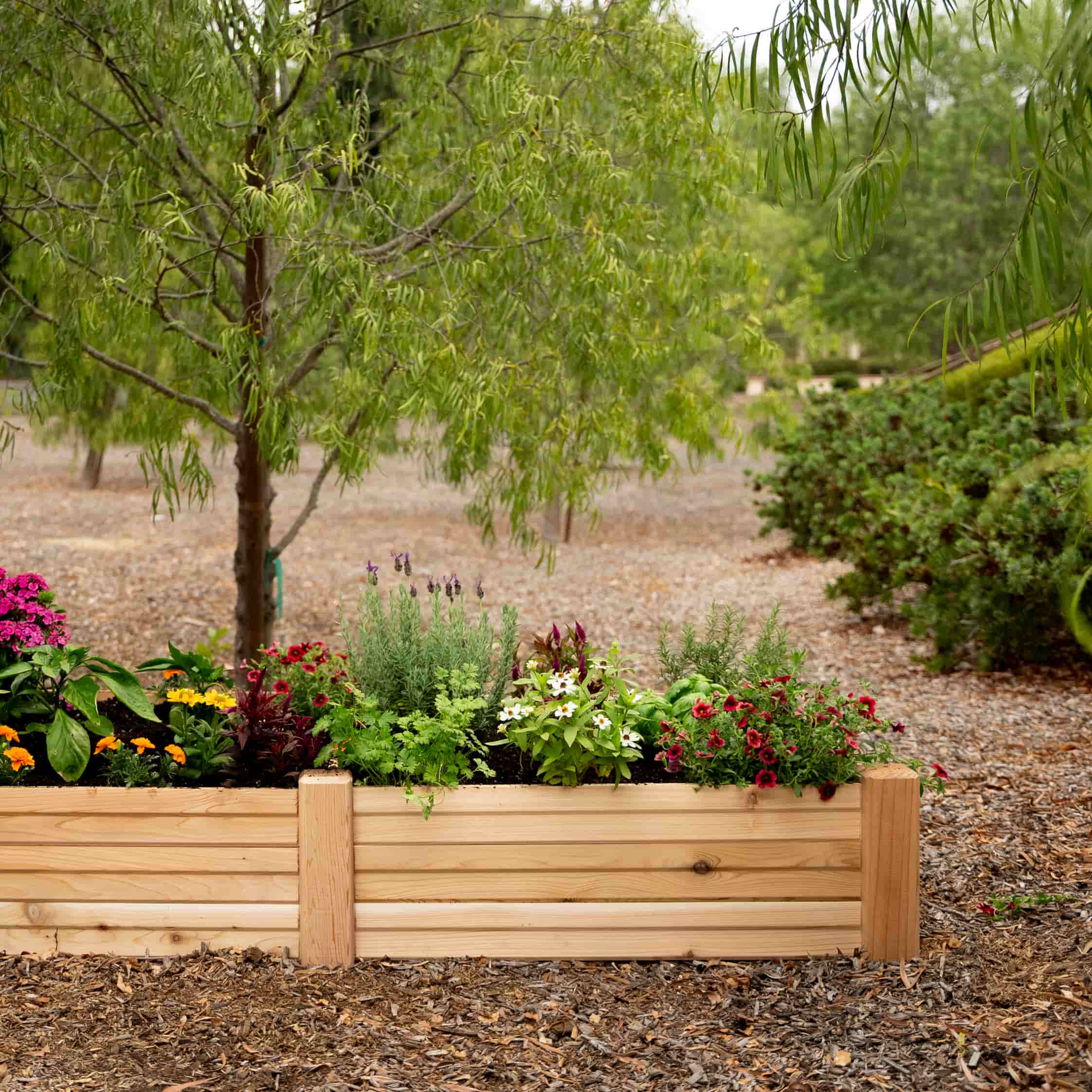 3-Minute Raised Bed - Image 5