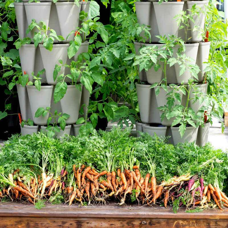 GreenStalk 5-Tier Vertical Planter - Image 7