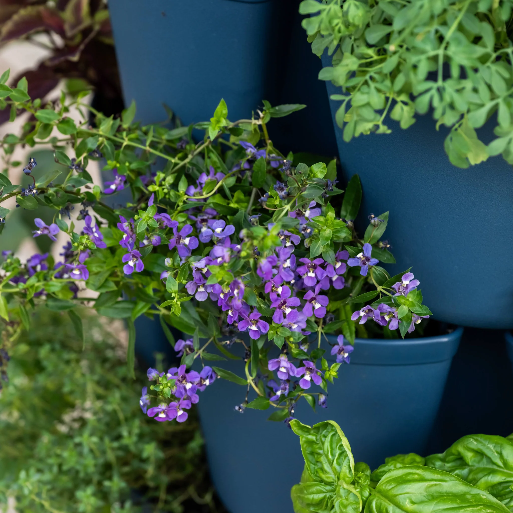 GreenStalk 7-Tier Vertical Planter - Image 12