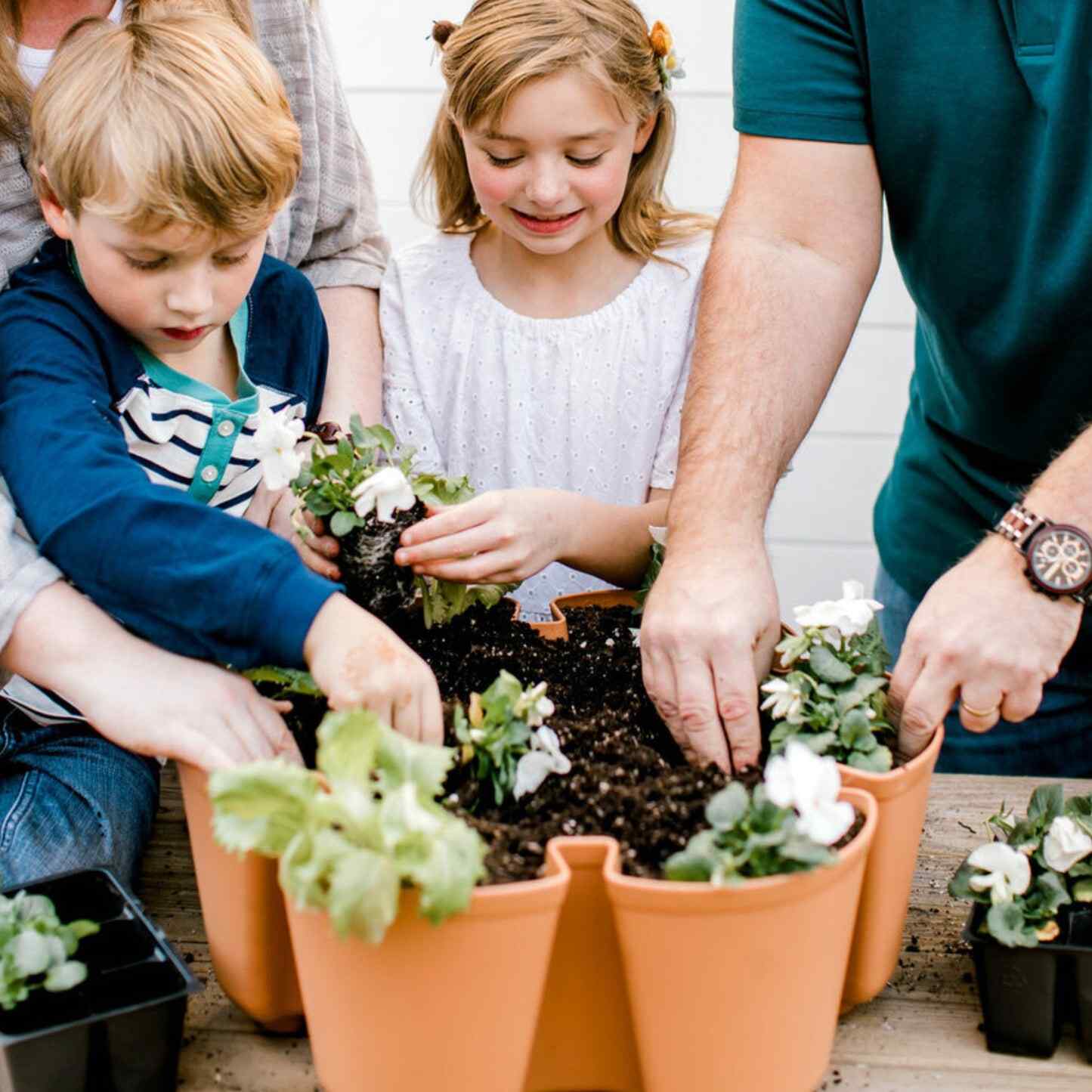 GreenStalk 7-Tier Vertical Planter - Image 13