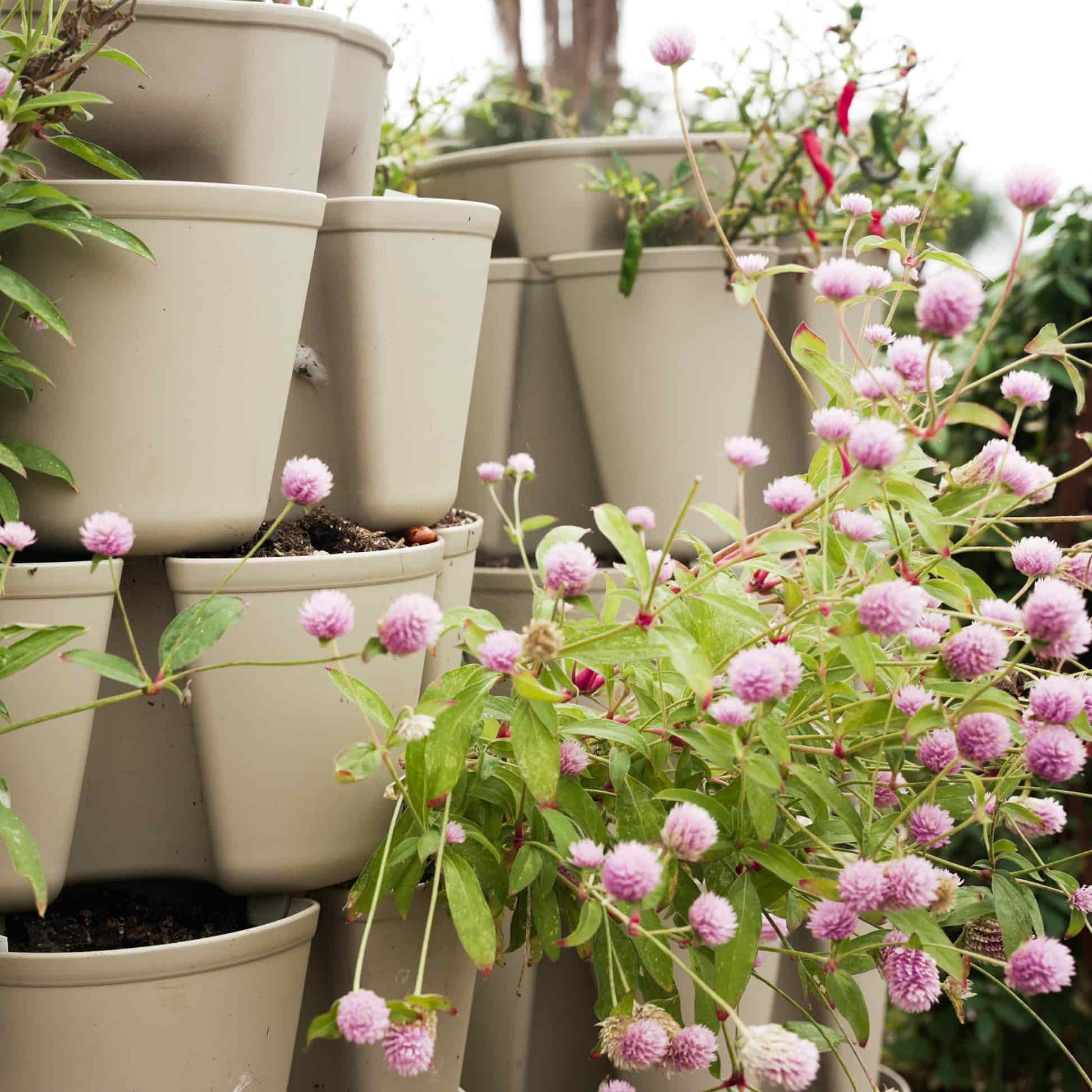 GreenStalk 7-Tier Vertical Planter - Image 5