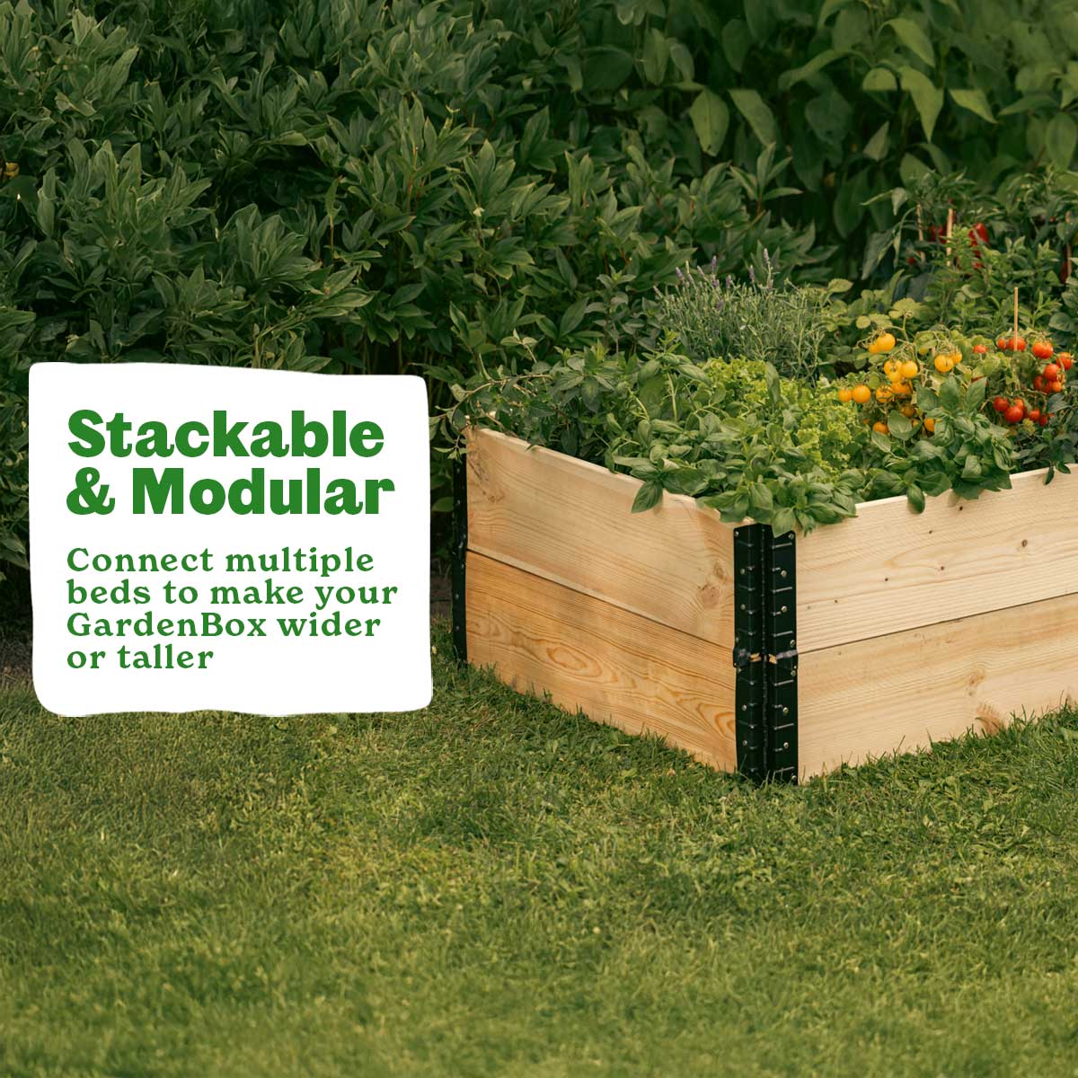 Epic GardenBox - Image 3