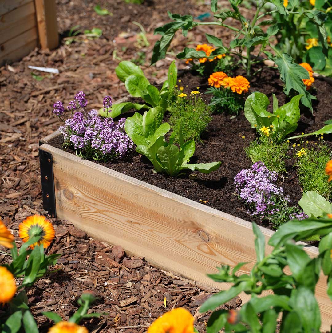 Epic GardenBox - Image 4