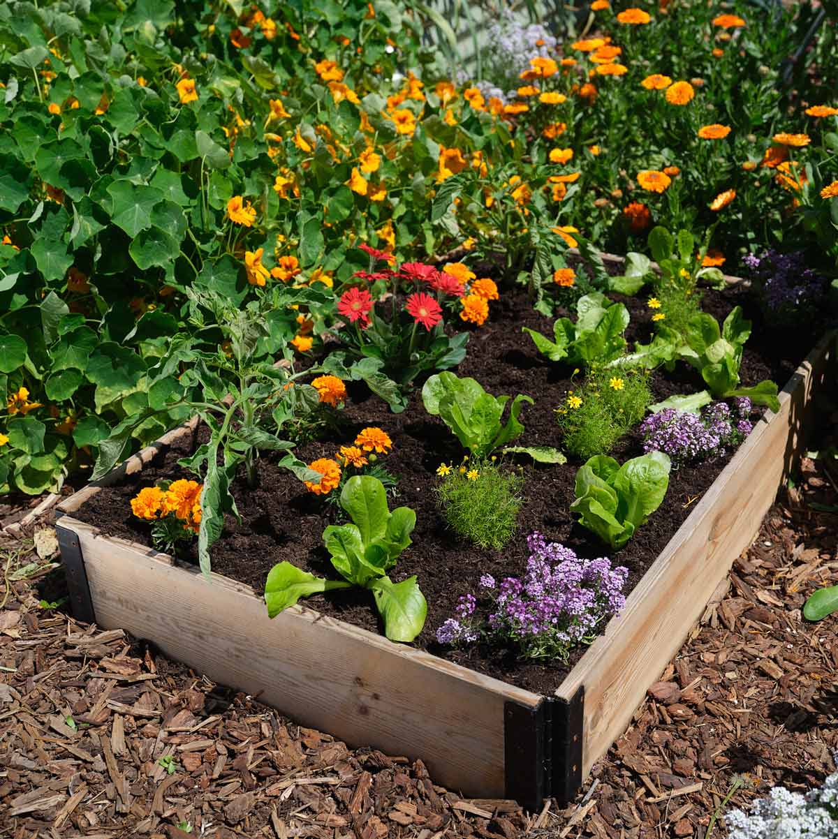 Epic GardenBox - Image 5