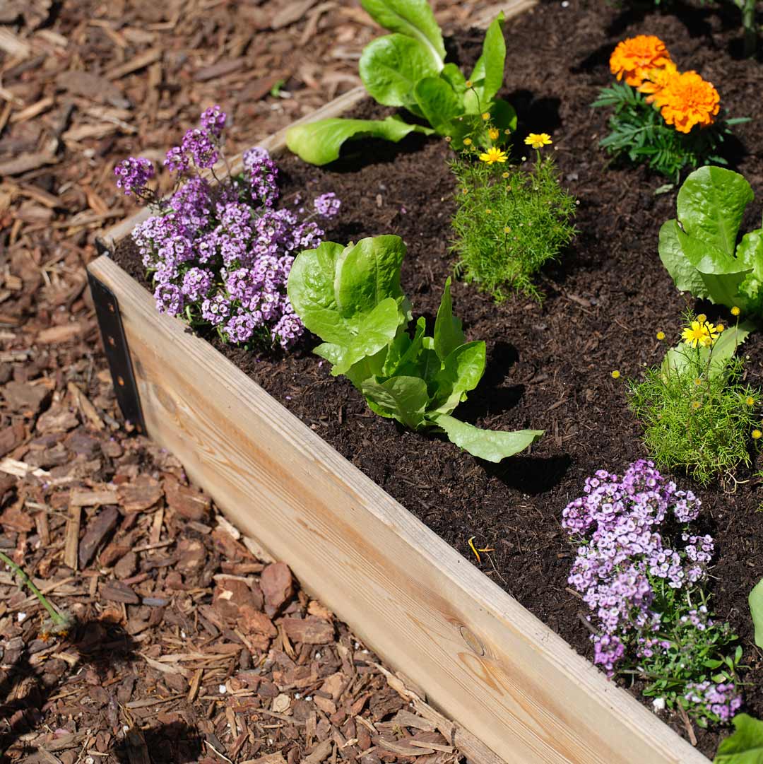 Epic GardenBox - Image 6