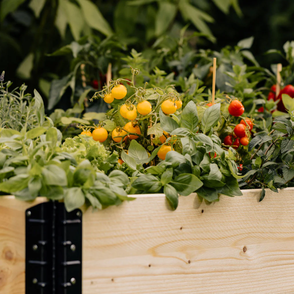 Epic GardenBox - Image 7