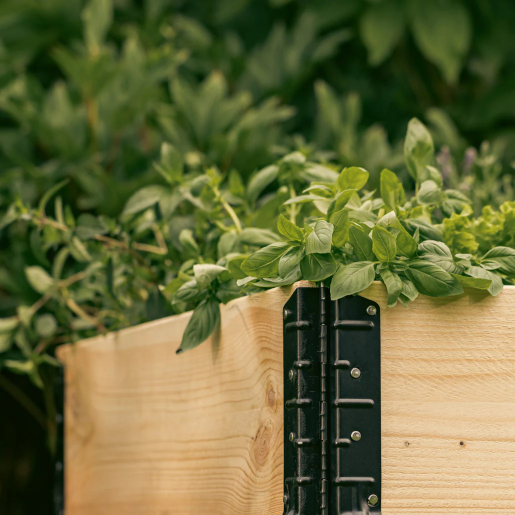 Epic GardenBox - Image 8