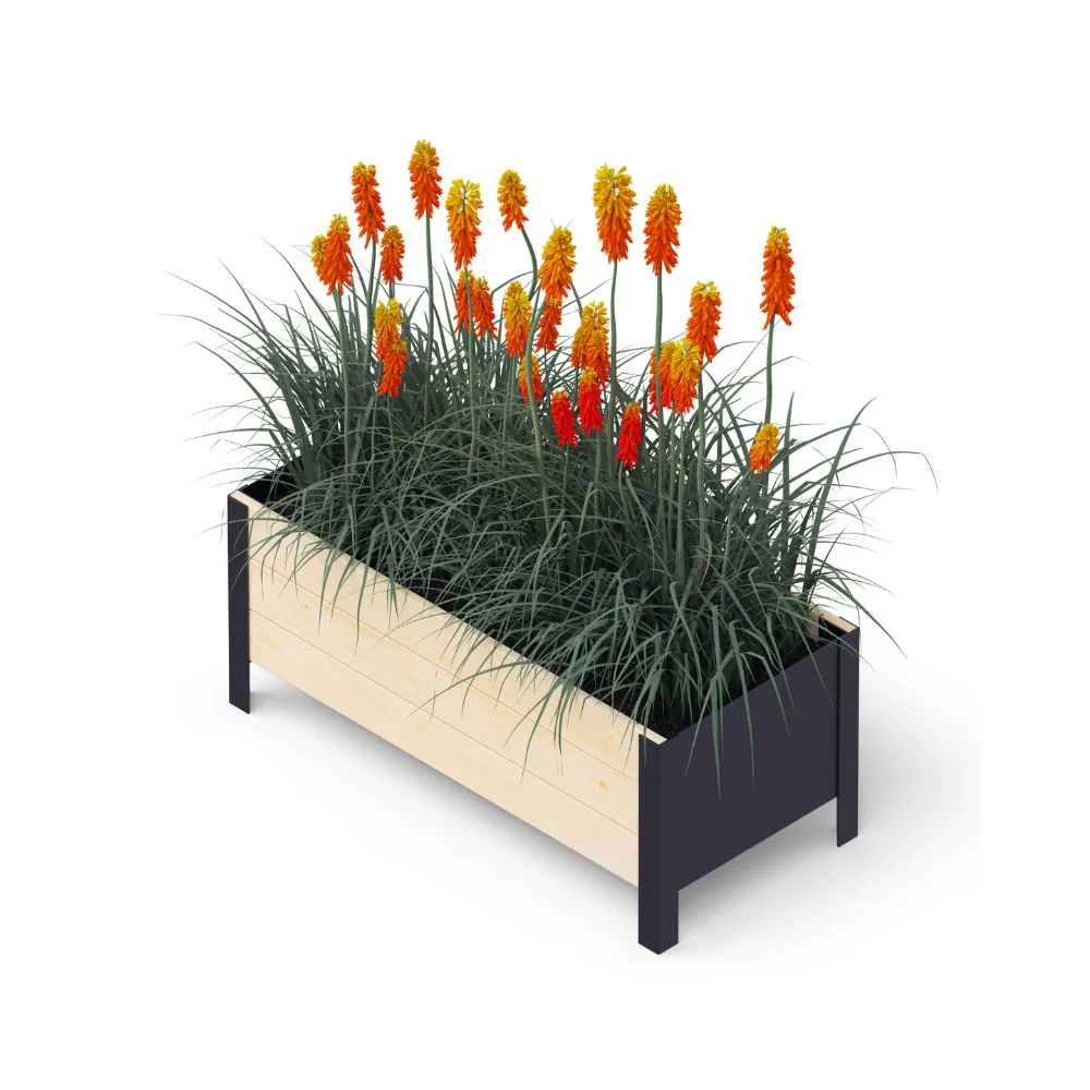 Epic ModernBox - Image 5