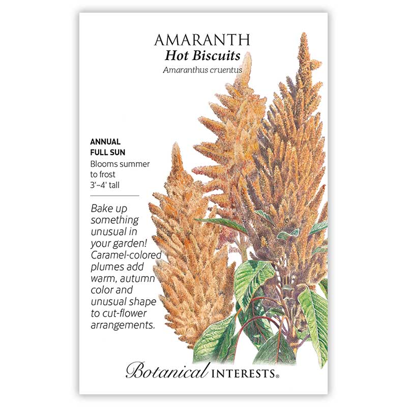 Hot Biscuits Amaranth Seeds - Image 3