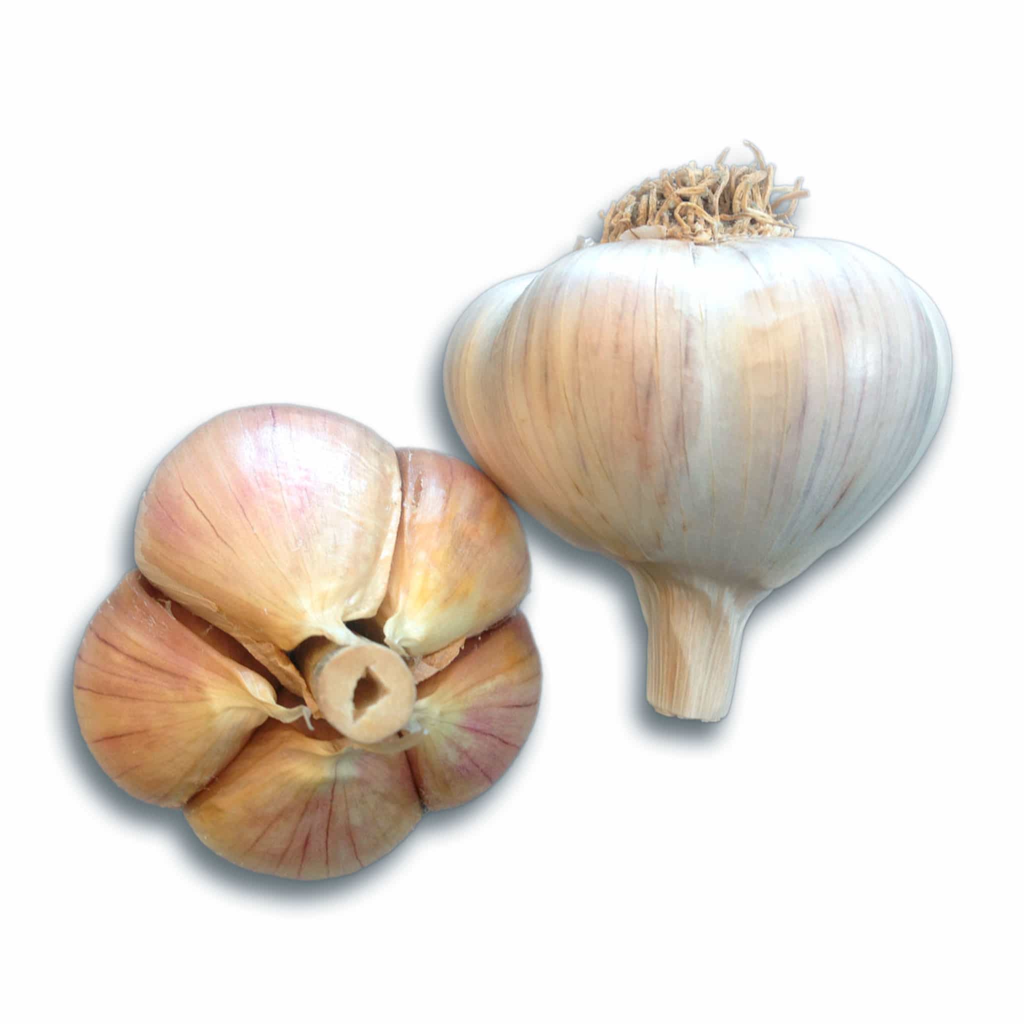 New Varieties for 2025