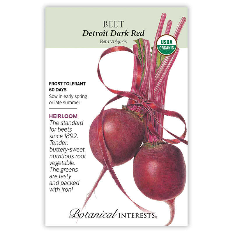 Detroit Dark Red Beet Seeds - Image 3