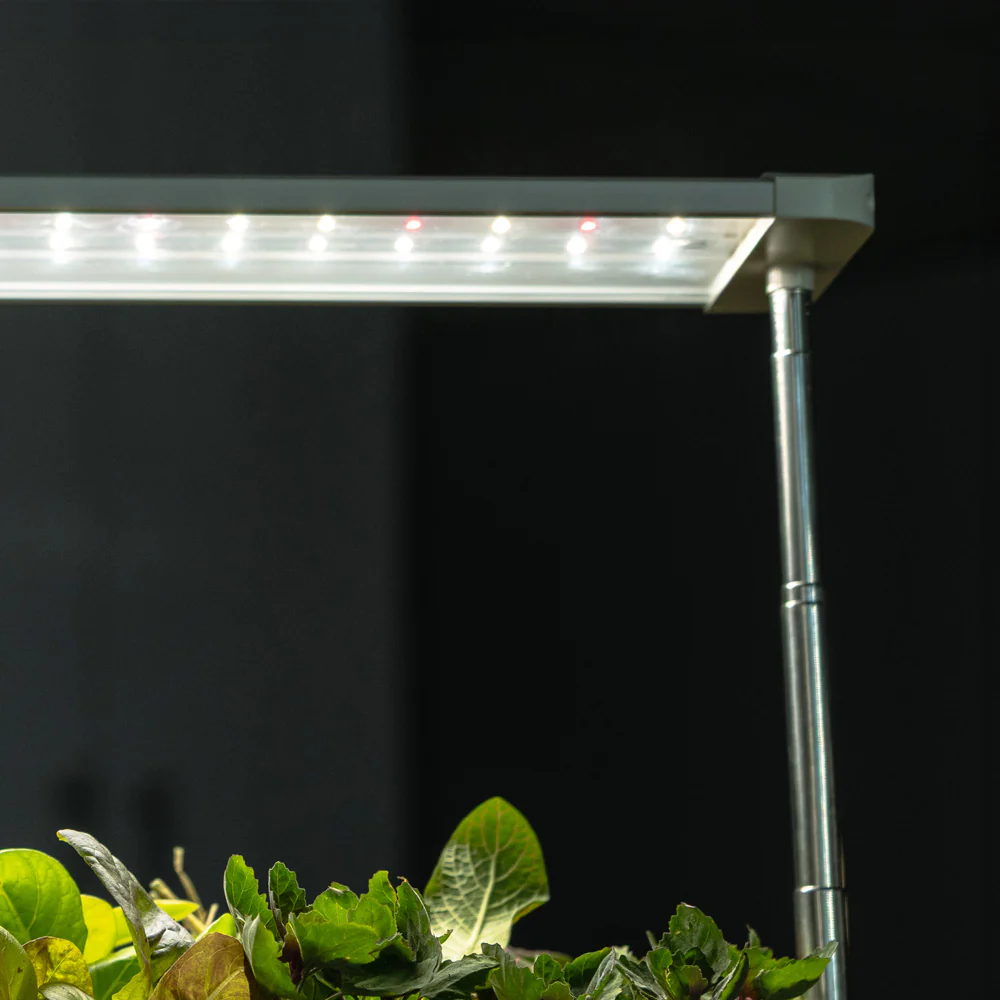 Epic Grow Light - Image 4
