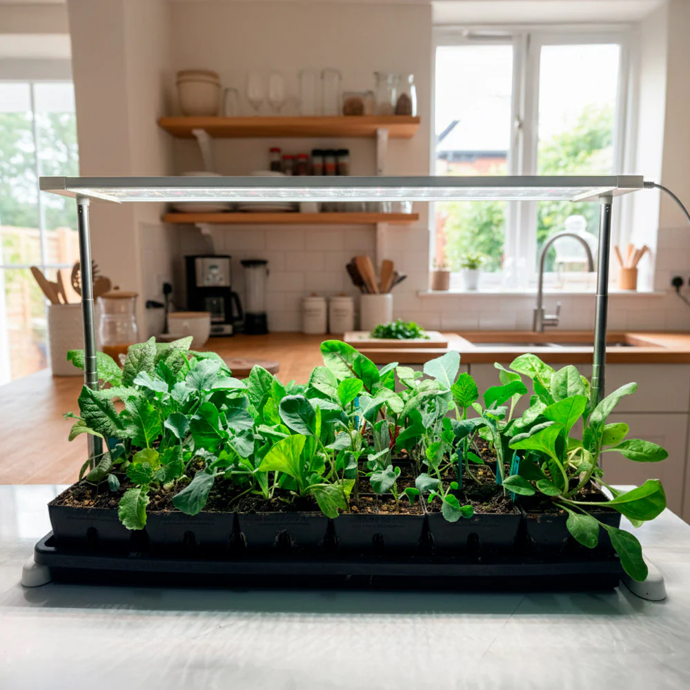 Epic Grow Light - Image 8